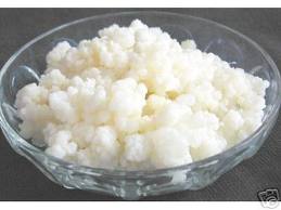 kefir-1c2.jpg