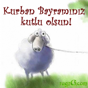 kurban7-2886.png