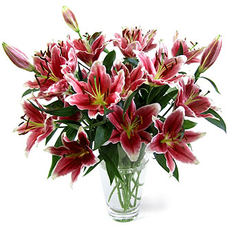 lilies2020stargazer-2533.jpg
