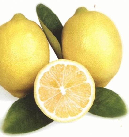 limon-7099.jpg