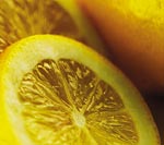 limon-yagi1-3901.jpg