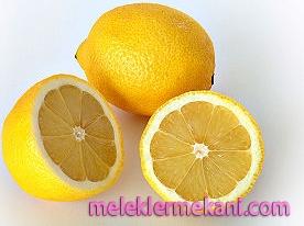 limon1-4123.jpg