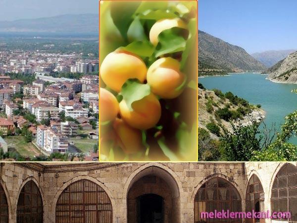 malatya_02-8773.jpg