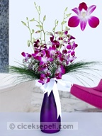 mor%20orkide-5d.jpg