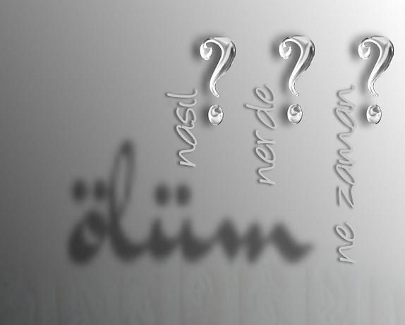 olum-5941.jpg