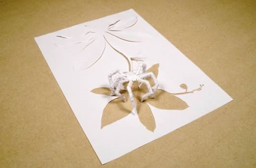 origami5-f9.jpg