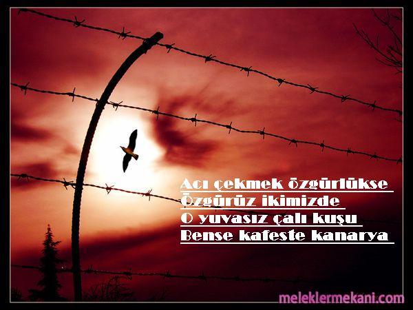 ozgurluk-tel-kartal-gece-4057.jpg