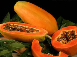 papaya-meyvesi-5079.jpg