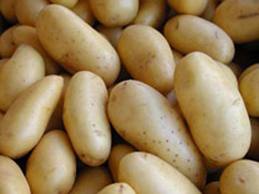 patates-132.jpg