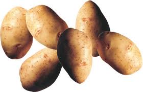 patates-158.jpg
