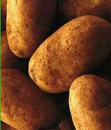 patates-2b6.jpg