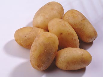 patates-3c4.jpg