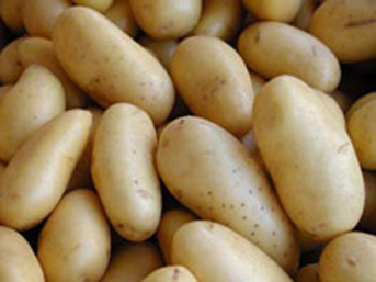 patates-8305.jpg