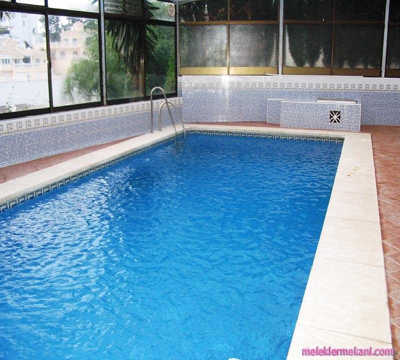 pool3-lg-2060.jpg