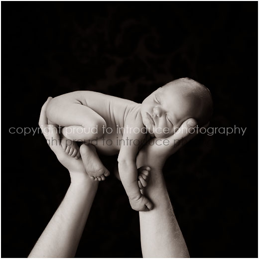 portrait-of-newborn-held-up-in-fathers-hands-milwaukee-9280.jpg