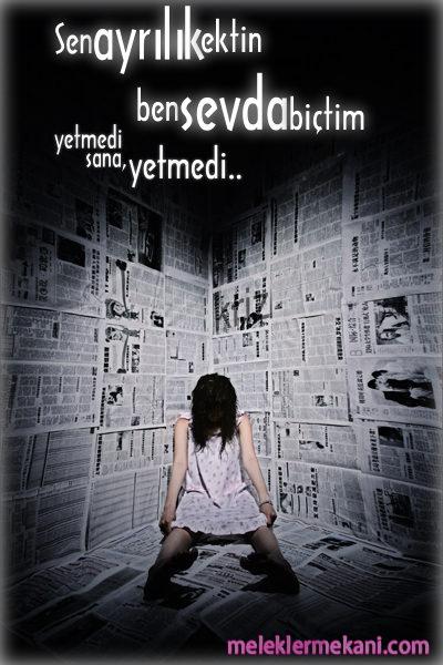 resim1-9742.jpg