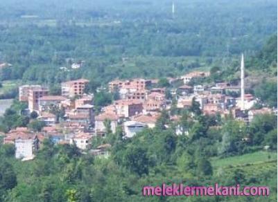 salipazari1-4622.jpg