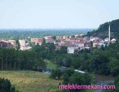 salipazari2-3786.jpg