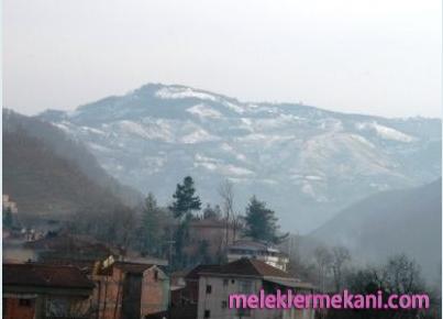 salipazari4-4660.jpg