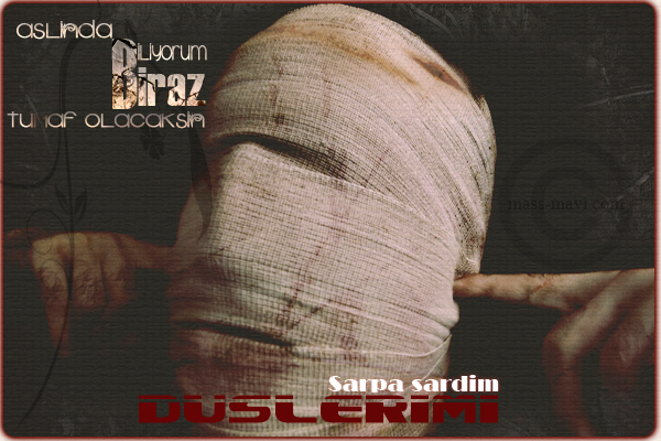 sarpa-sardim-6218.png