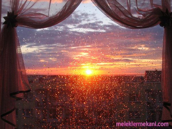 sunandrainbytalvienkeli-2681.jpg