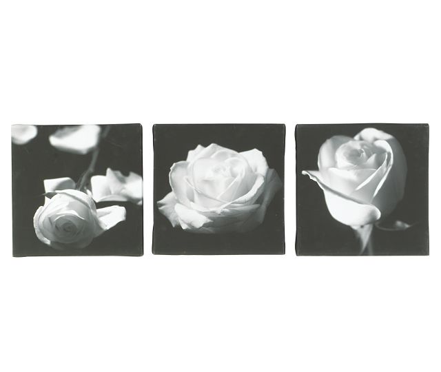 tablo2-3775.jpg