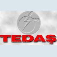tedas-131.jpg