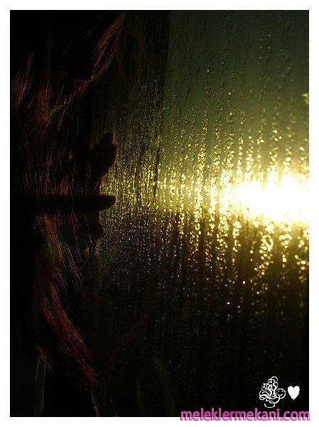 thewetwindowbyyellowbna-4976.jpg