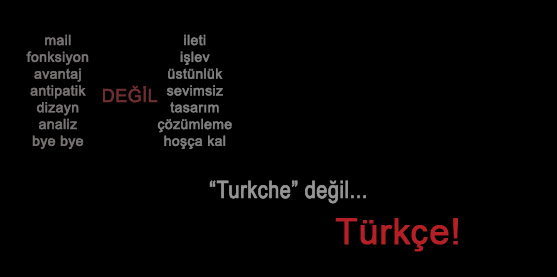 turkce2byelannunan6-1050.jpg