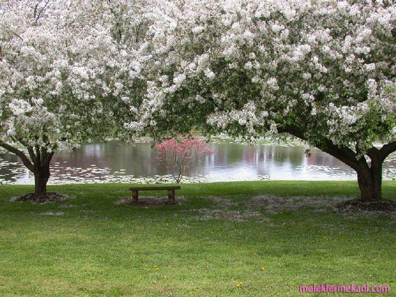 www_resimcity_com_ilkbahar_resimleri-4383.jpg