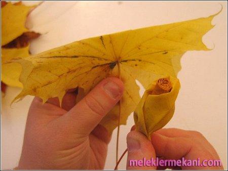 yaprak8-8446.jpg