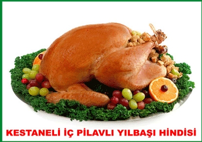 yilbasi-hindisi1-4853.jpg