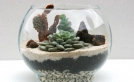 Evlerde terraryum dekorasyonu