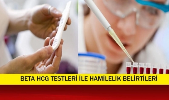 Hamileliğinizde beta hcg değerleri ve anlamları nelerdir