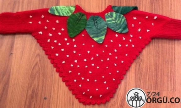 Derya Baykal Çilek Panço Modelleri Ve Yapılışı