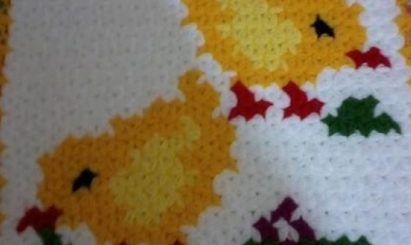 Civcivli Değişik Lif Modelleri Çok Sevimliler