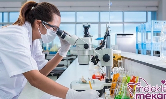 Tüp Bebekte Gebelik Testi Ne Zaman Yapılır Sonuç Değerlendirmesi