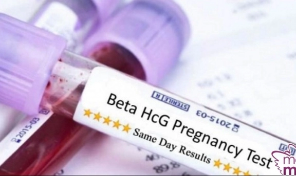 Beta Hcg Değeri Kaç Olunca Hamile Olunur? Değer Aralıkları Nelerdir?
