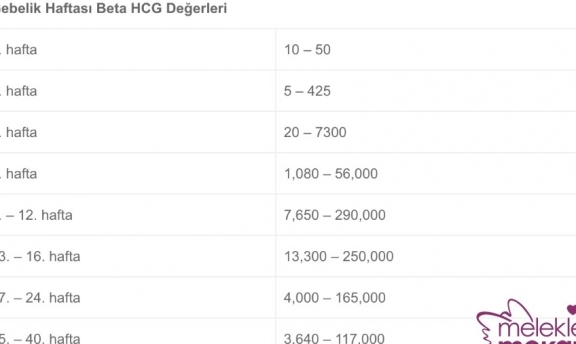 Beta Hcg Değeri Kaç Olunca Hamile Olunur? Değer Aralıkları Nelerdir?