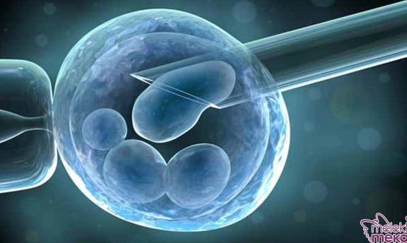 İsteyen Herkes Tüp Bebek Yaptırabilir mi? Tüp Bebek Tedavisi Hakkında