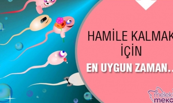 Hangi Günler Hamile Kalmak İçin Uygun Gebe Kalmak İçin Nokta Atış