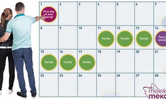 Hangi Günler Hamile Kalmak İçin Uygun Gebe Kalmak İçin Nokta Atış