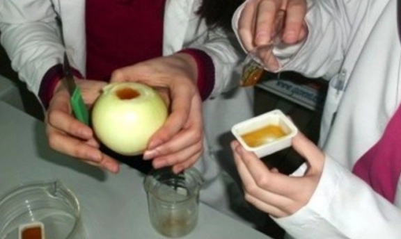 Soğan bal karışımı nasıl yapılır neye iyi gelir