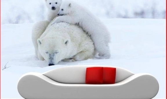 Duvar Dekorasyonunda Vahşi Dokular