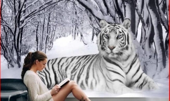 Yatak Odası Dekorasyonları İçin Manzaralı Duvar Kağıtları