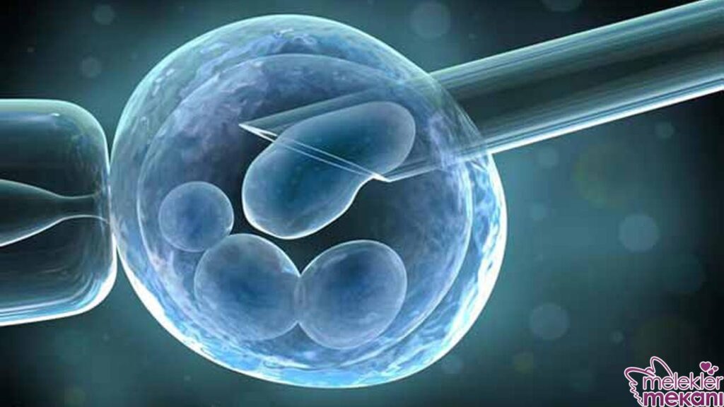 İsteyen Herkes Tüp Bebek Yaptırabilir mi? Tüp Bebek