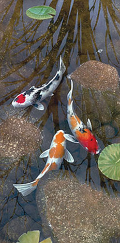 mystic_pond.jpg