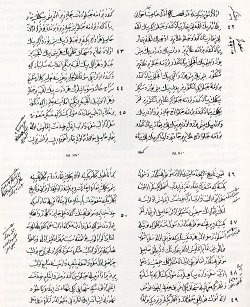 ferman07.jpg