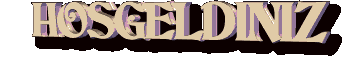 HOSGELDINIZ2.gif