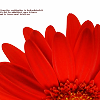 z30760280.png